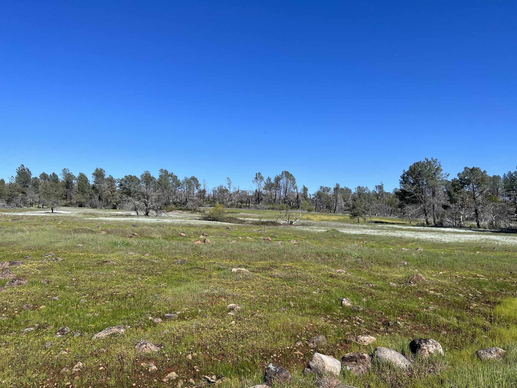 0 Lindenbaum, Paradise, CA for Sale