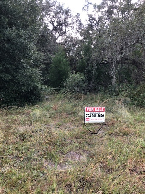 2819 Blanding Blvd, Middleburg, FL for Sale