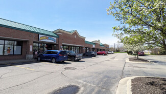 Clinton Township, MI Retail - 15222-15290 Canal Rd
