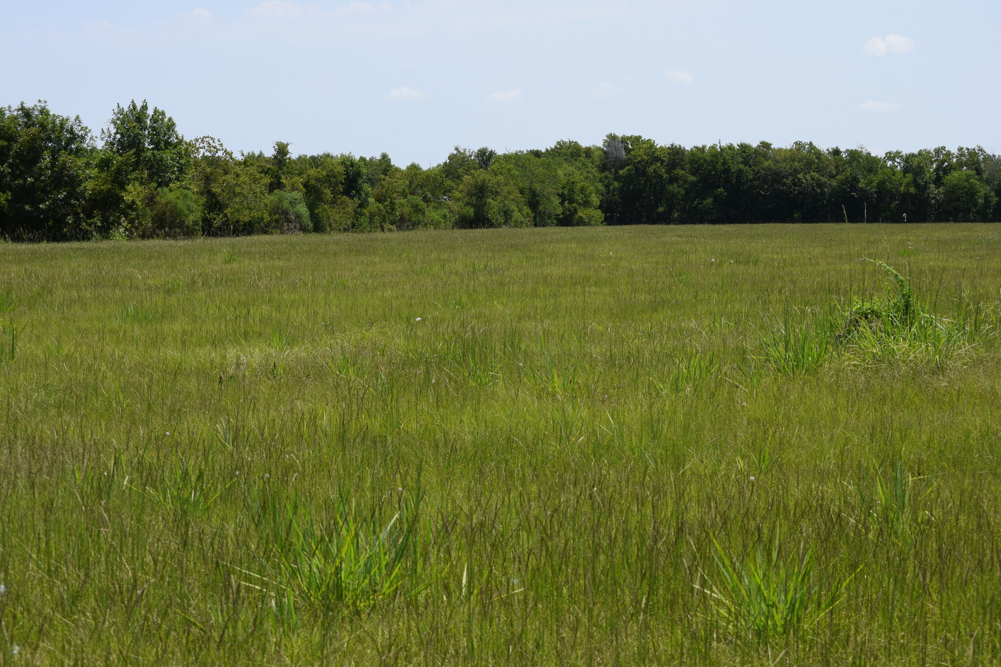 9621 FM 521, Rosharon, TX for Sale