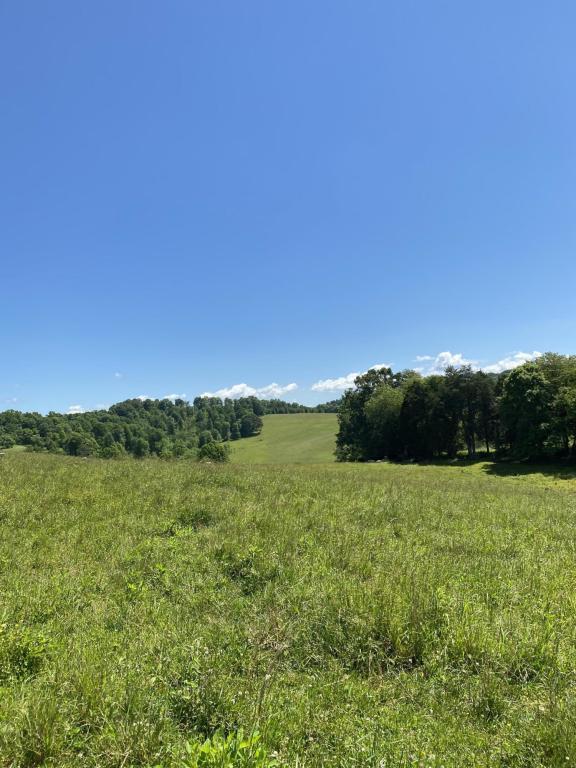 Chapman Rd, Lafollette, TN for Sale