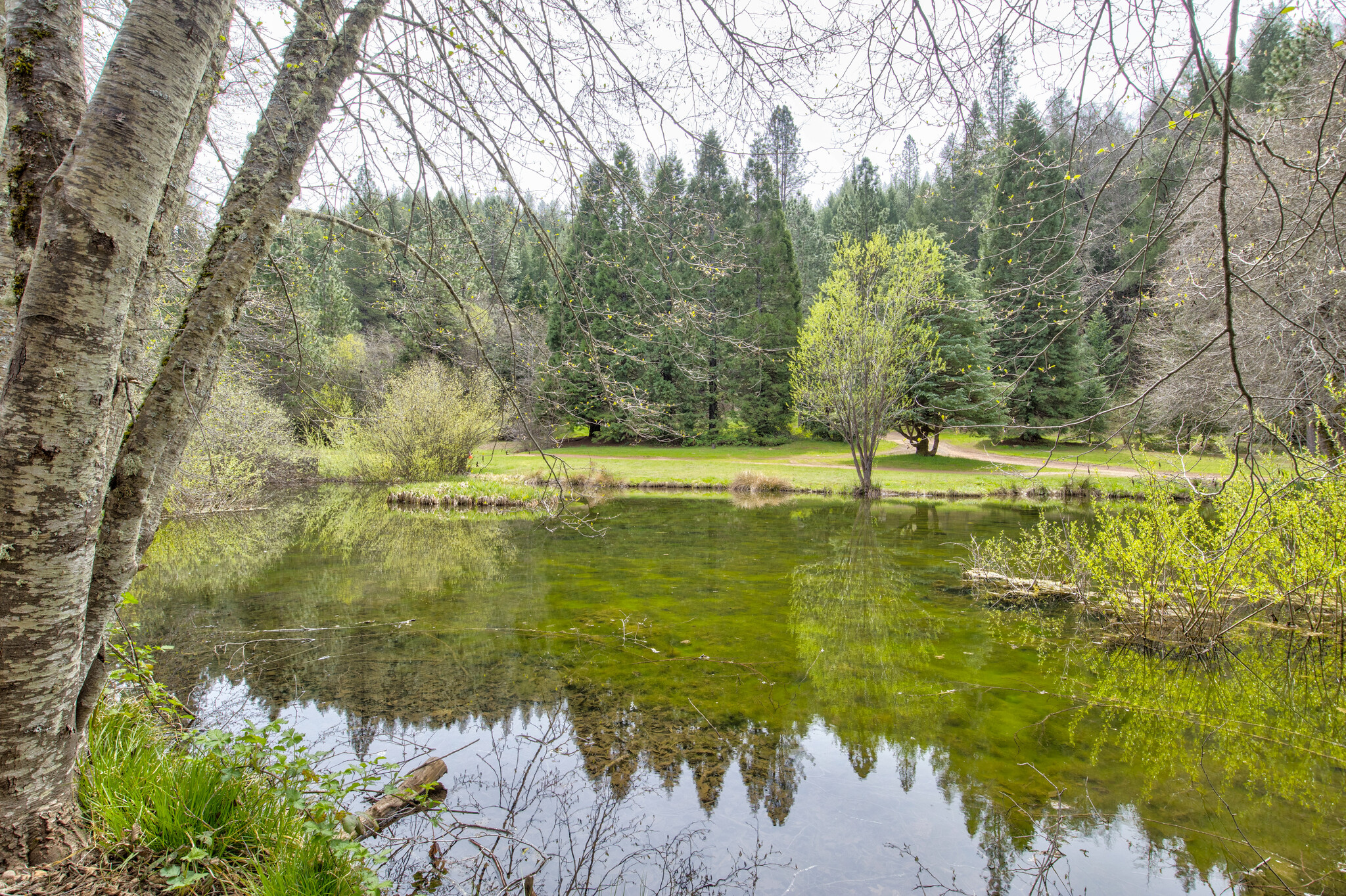 7250 Mitchell Mill Rd, Wilseyville, CA for Sale