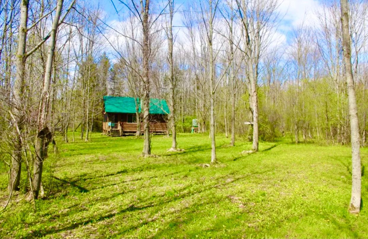 330 Cummings rd Pulaski, NY 13142 Land Property for Sale on
