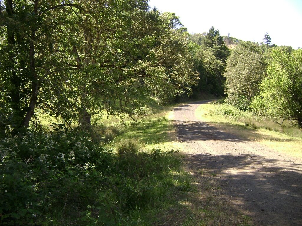 Newton Creek Rd, Roseburg, OR for Sale