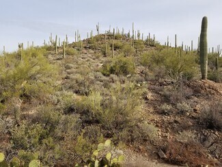 6840 W Banded Gecko Way  