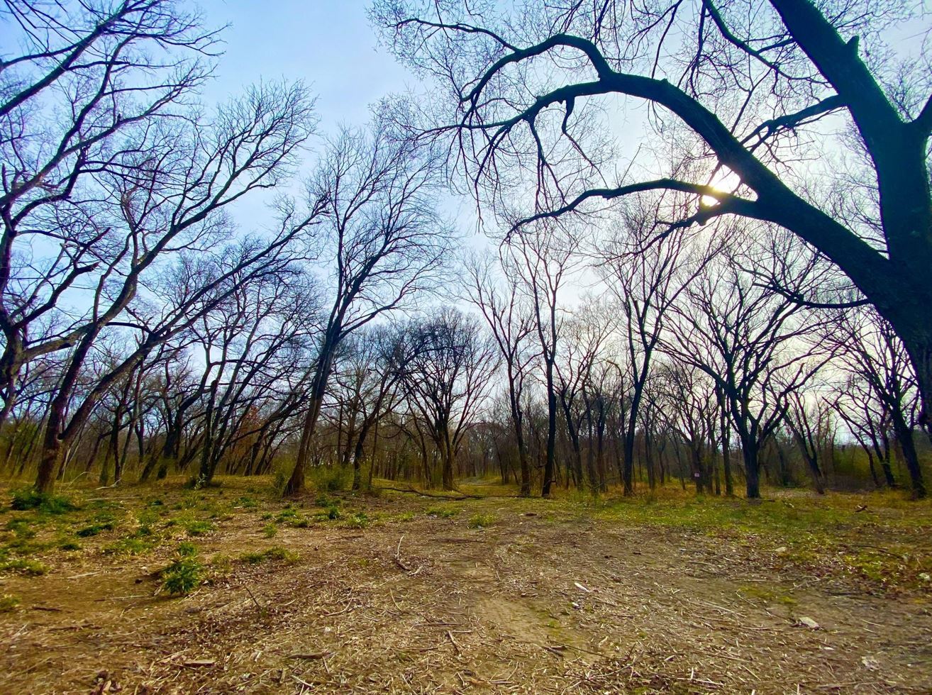 1336 E Renfro St Burleson, TX 76028 Land Property for Sale on