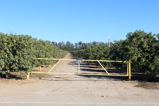 Somis, CA Agricultural Land - 0 Price Road