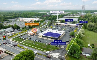 Somerset, NJ Retail - 84 Veronica Ave