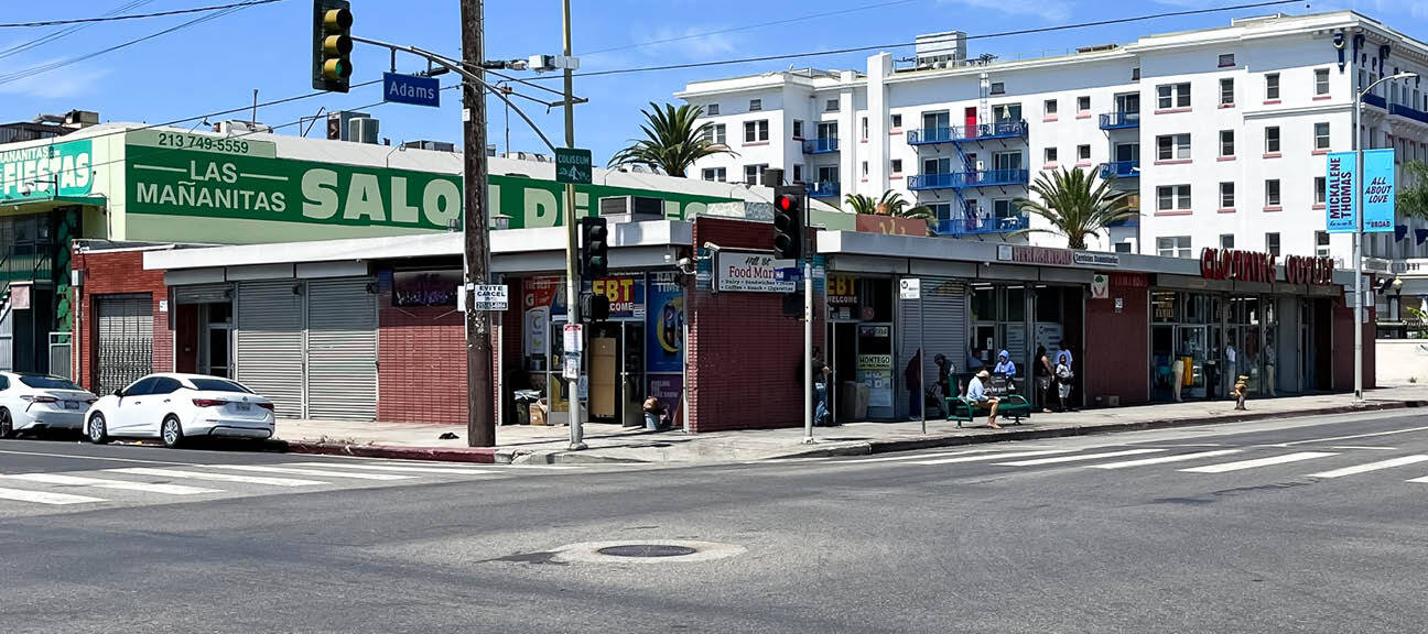 206 W Adams Blvd, Los Angeles, CA for Sale