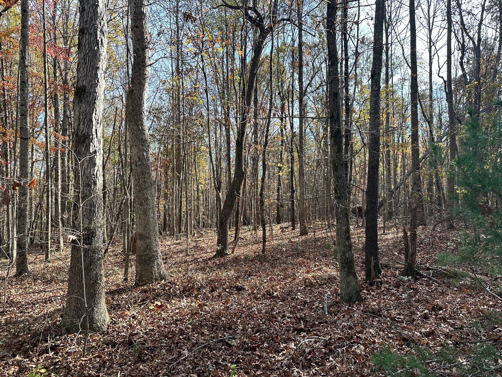 0 Hollywood Hwy, Clarkesville, GA for Sale