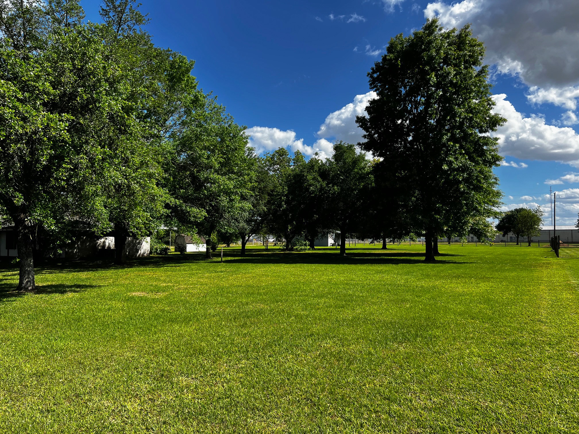 29007 Dove Ln, Katy, TX for Sale