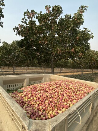 Tranquillity, CA Commercial Land - 8307 S Contra Costa Rd Tranquillity, CA Commercial Land - 8307 S Contra Costa Rd