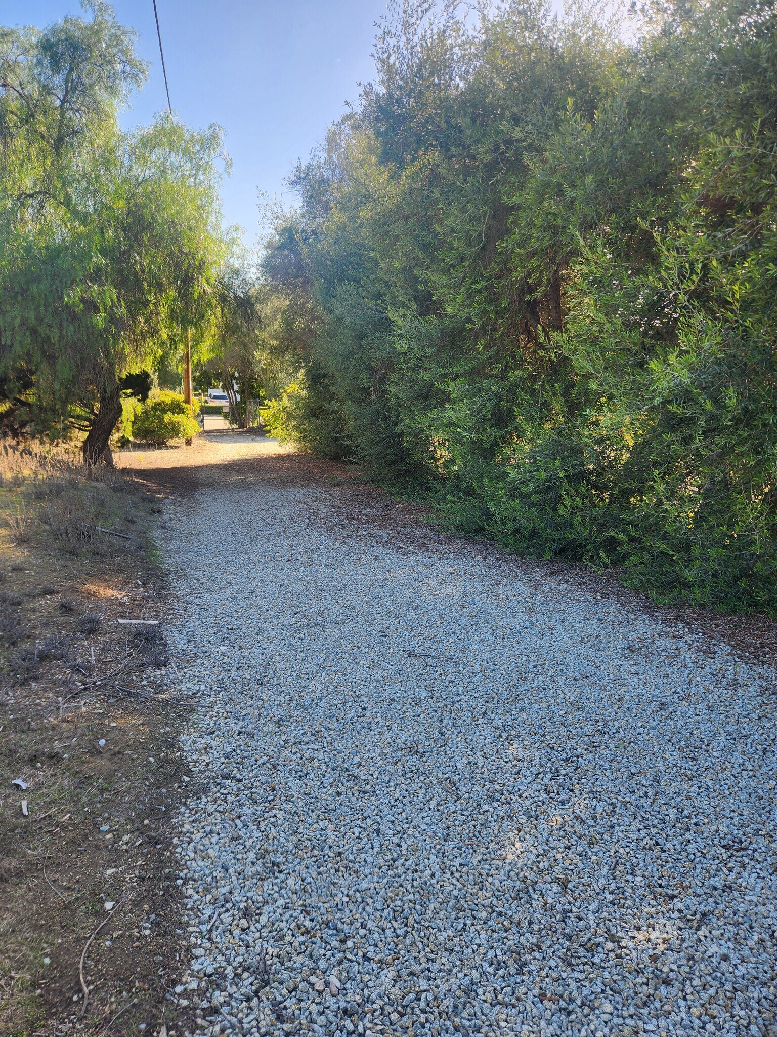 1252 Navel Pl, Vista, CA for Rent