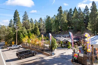 Lake Arrowhead, CA undefined - 303 CA-173 Hwy