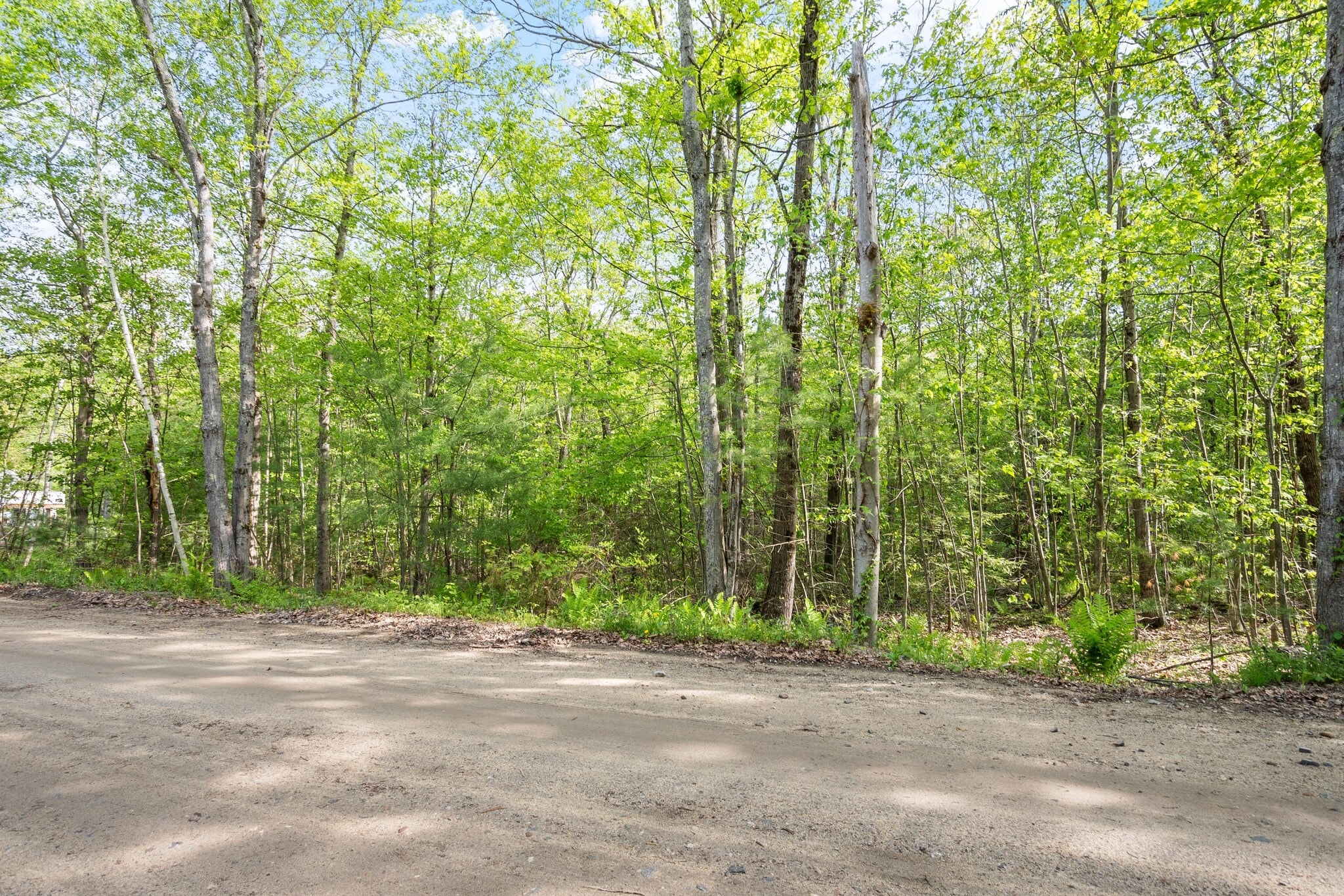 0 Whitney rd, Ashby, MA for Sale