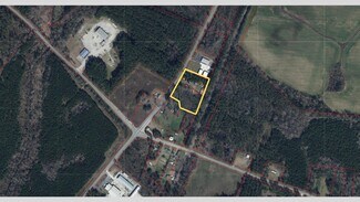 Holly Hill, SC Commercial - 0 Hwy 453