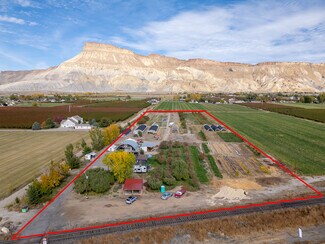Palisade, CO Specialty - 3526 Front St