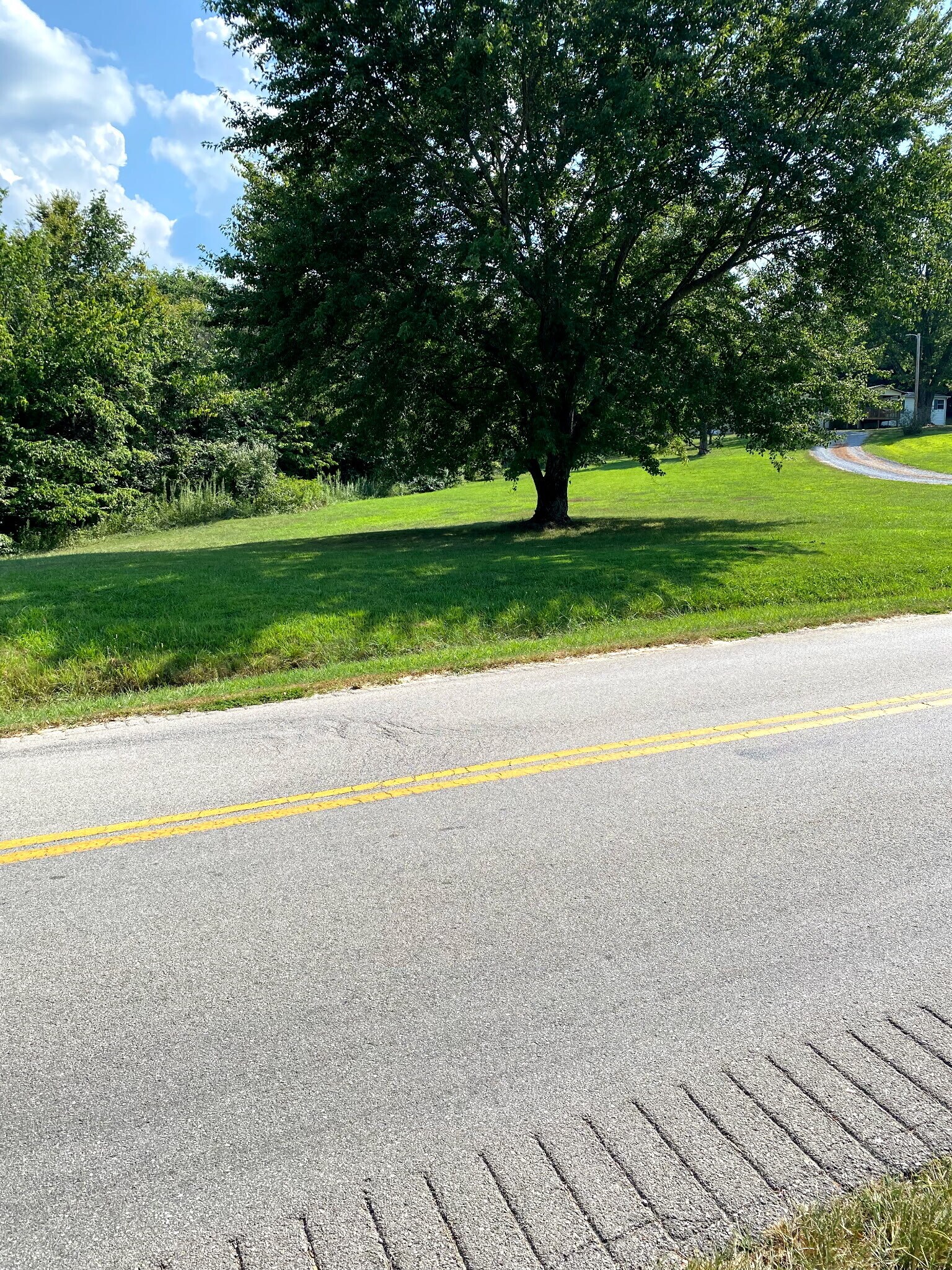 0 Blue Bird Rd, Falls Of Rough, KY for Sale