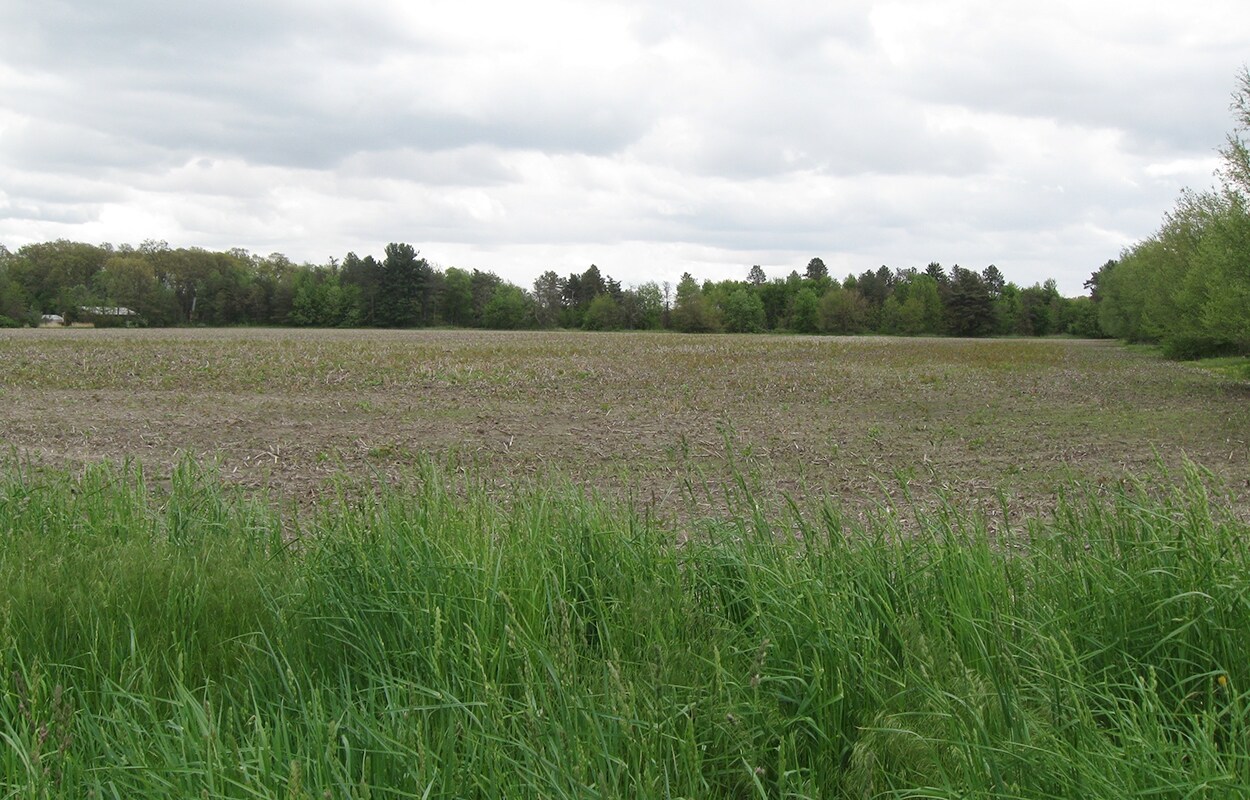 0 US-20A, Swanton, OH for Sale