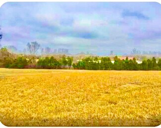 Mount Juliet, TN Commercial Land - 0 N Old Mount Juliet Rd Mount Juliet, TN Commercial Land - 0 N Old Mount Juliet Rd