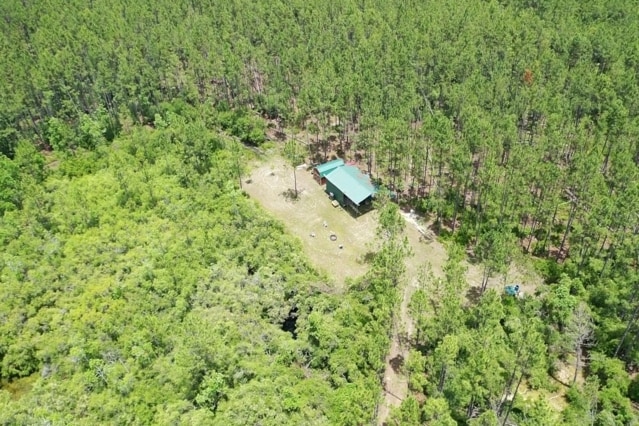 TBD McCray Road, Mayo, FL for Sale