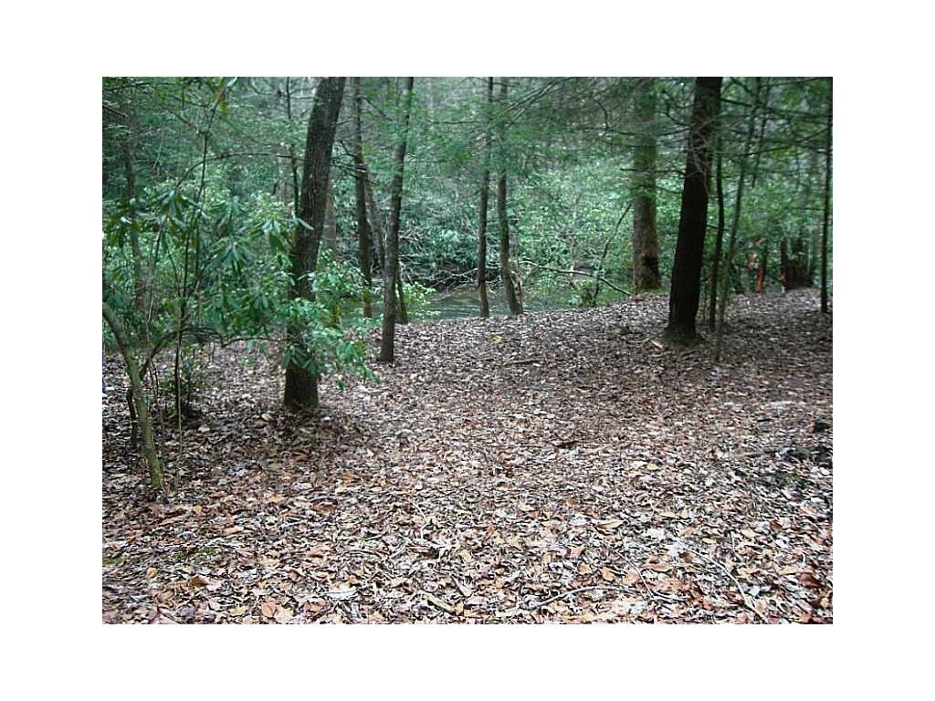 0 Richardson Rd, Winston, GA for Sale