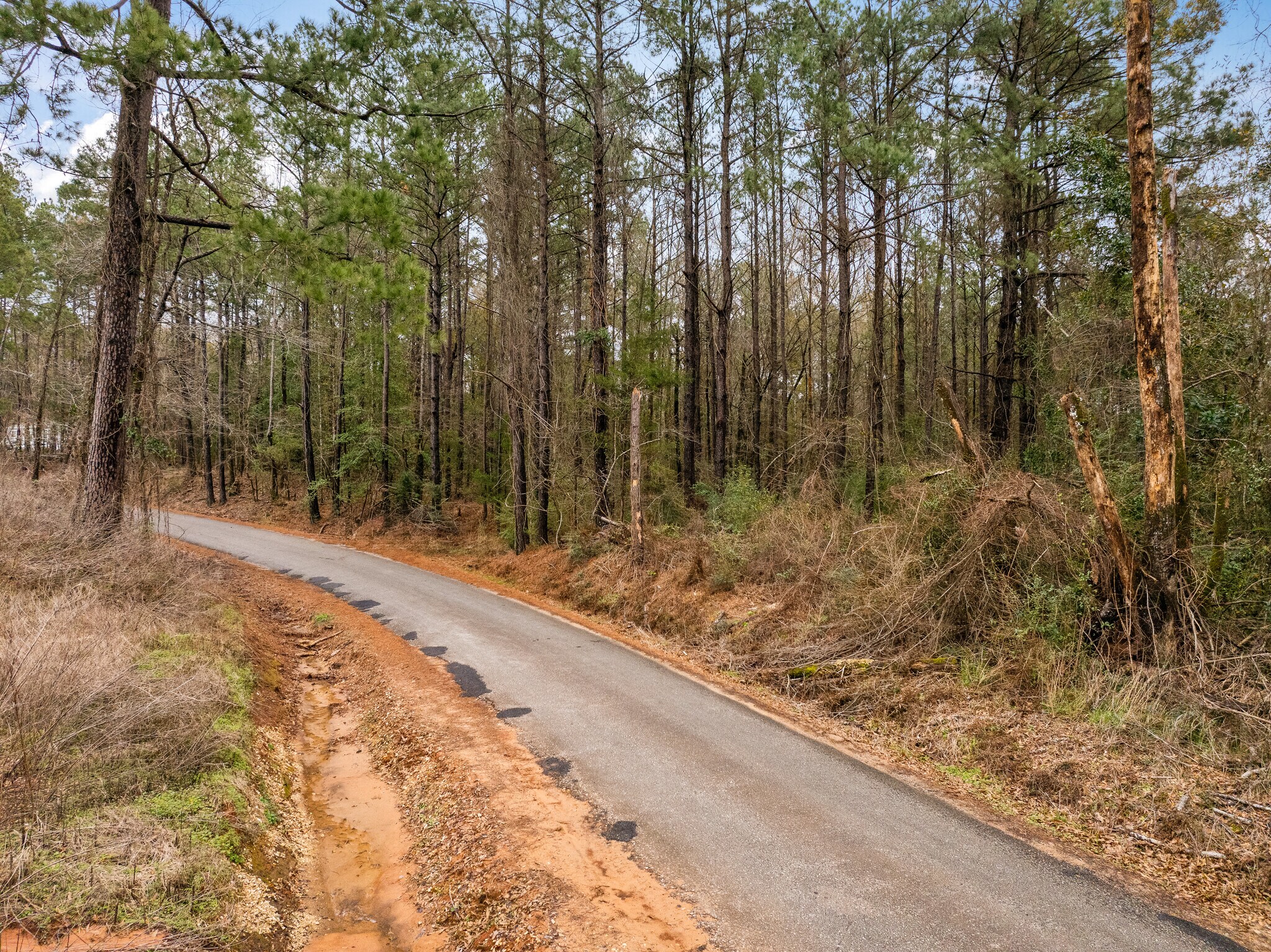 TBD 25 acres Tatoo Road, Glenmora, LA for Sale
