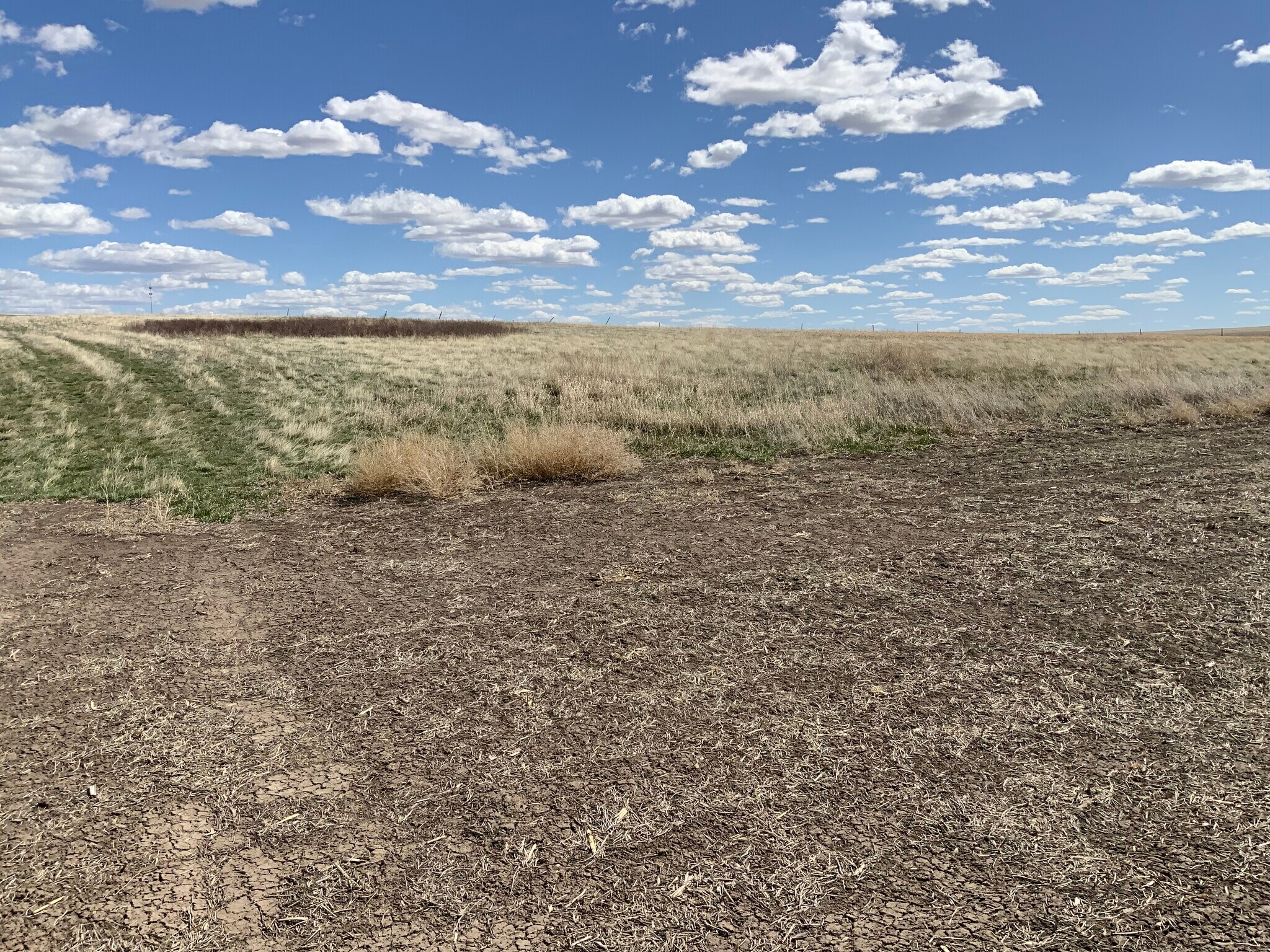 TBD Highway 63, Norris, SD for Sale