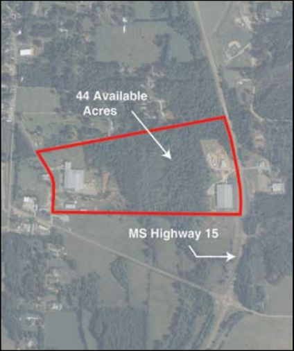 HIGHWAY 15, Union, MS for Sale