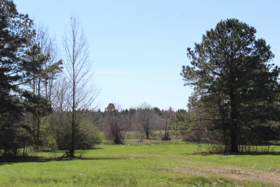 0 Leggett Dr, Richland, MS for Sale