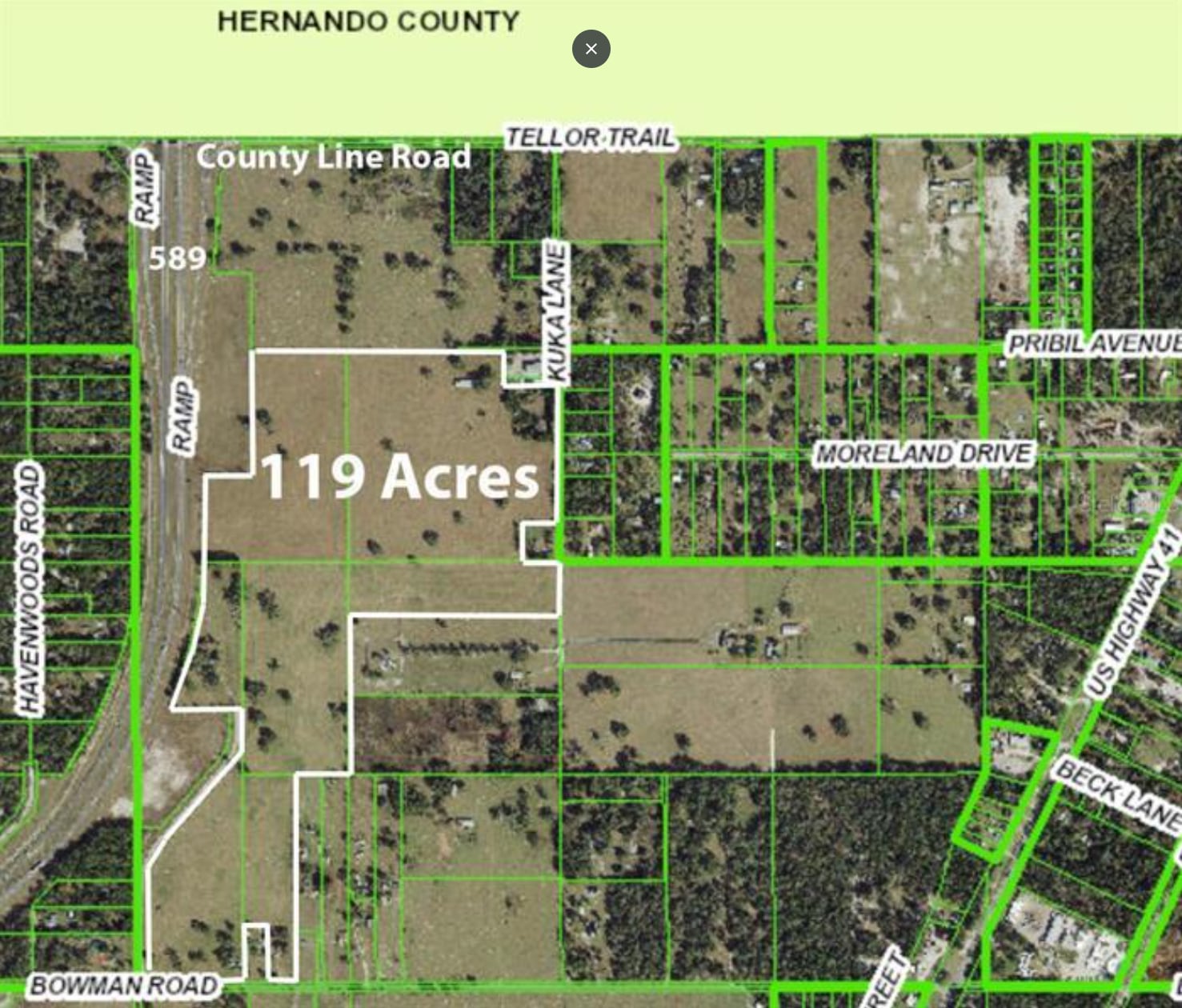 20139 Bowman Rd, Spring Hill, FL for Sale