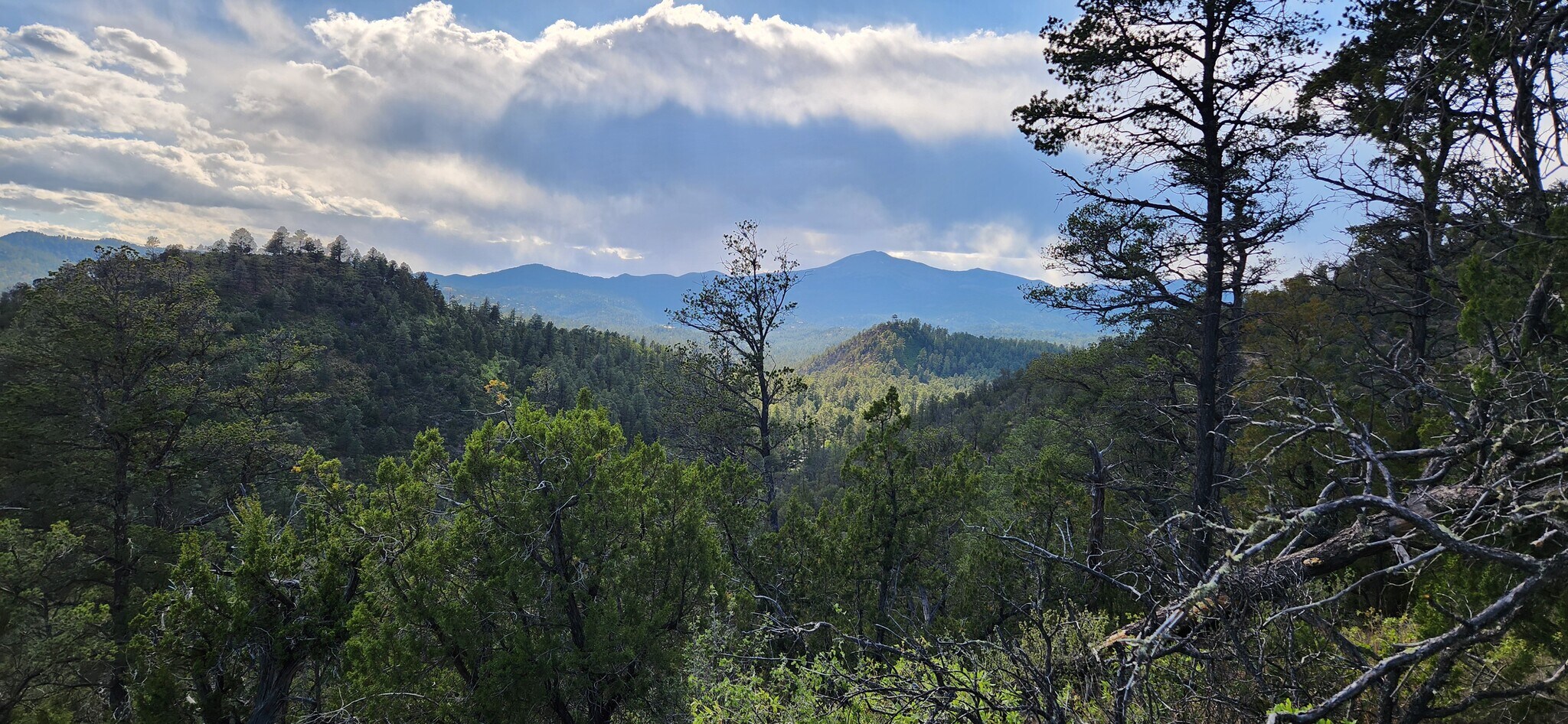 140 Paradise Canyon Dr, Ruidoso, NM for Rent