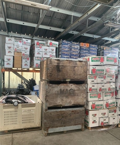 1168 Urania Ave, Encinitas, CA for Rent