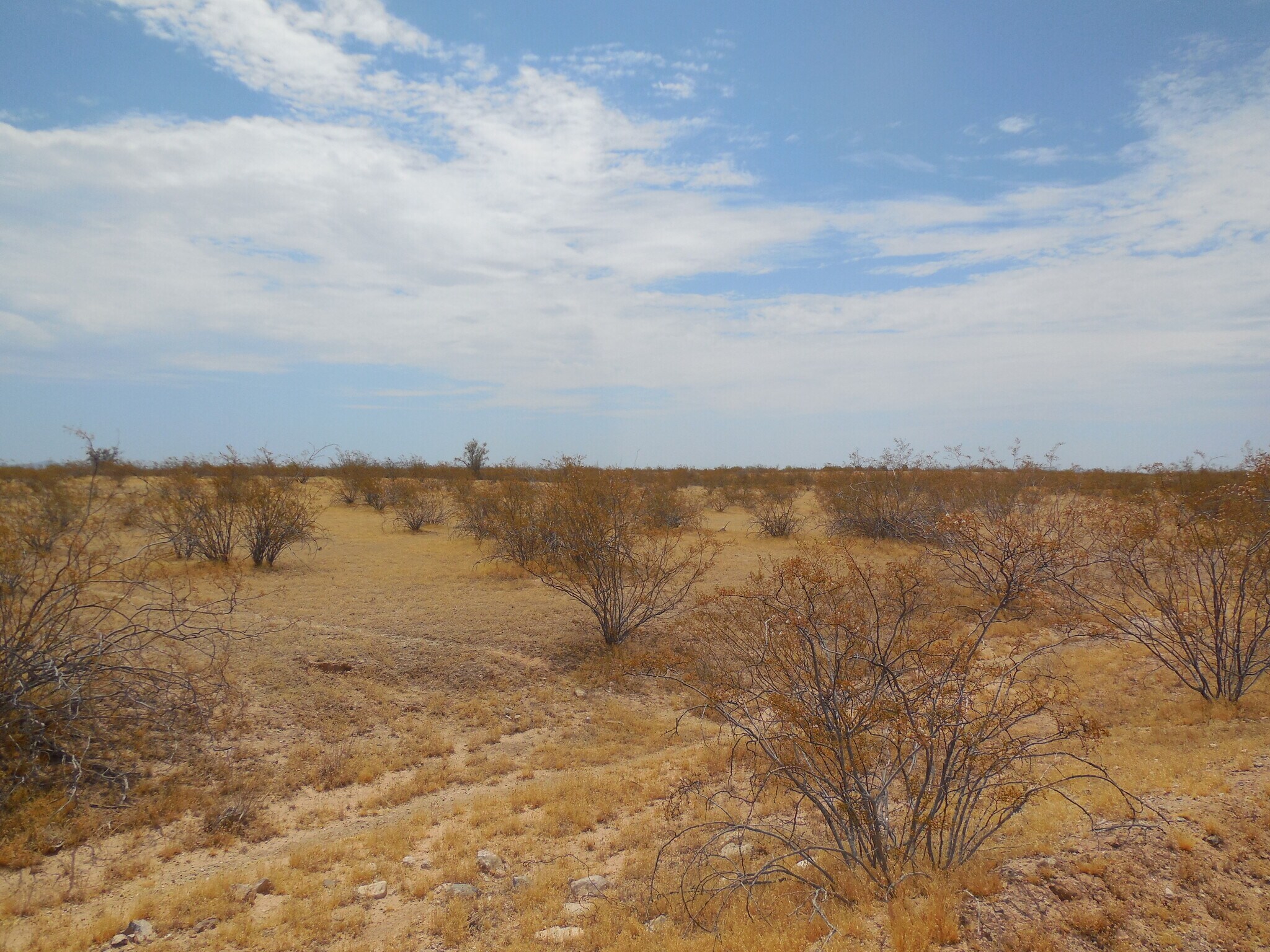 4800 381st Ave, Tonopah, AZ for Sale
