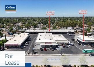 Fresno, CA Retail, Flex - 1311-1375 N Blackstone Ave