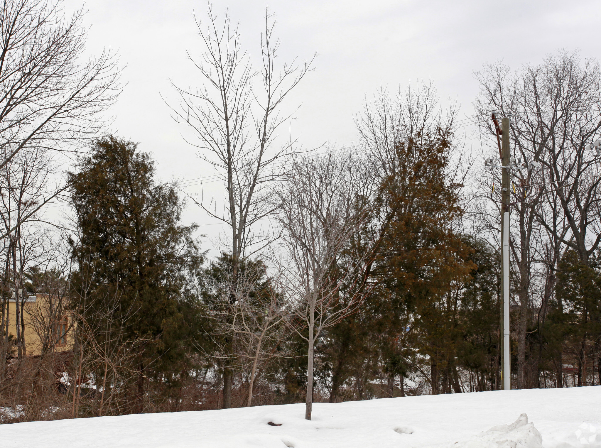 8430 Sudley Rd, Manassas, VA for Sale