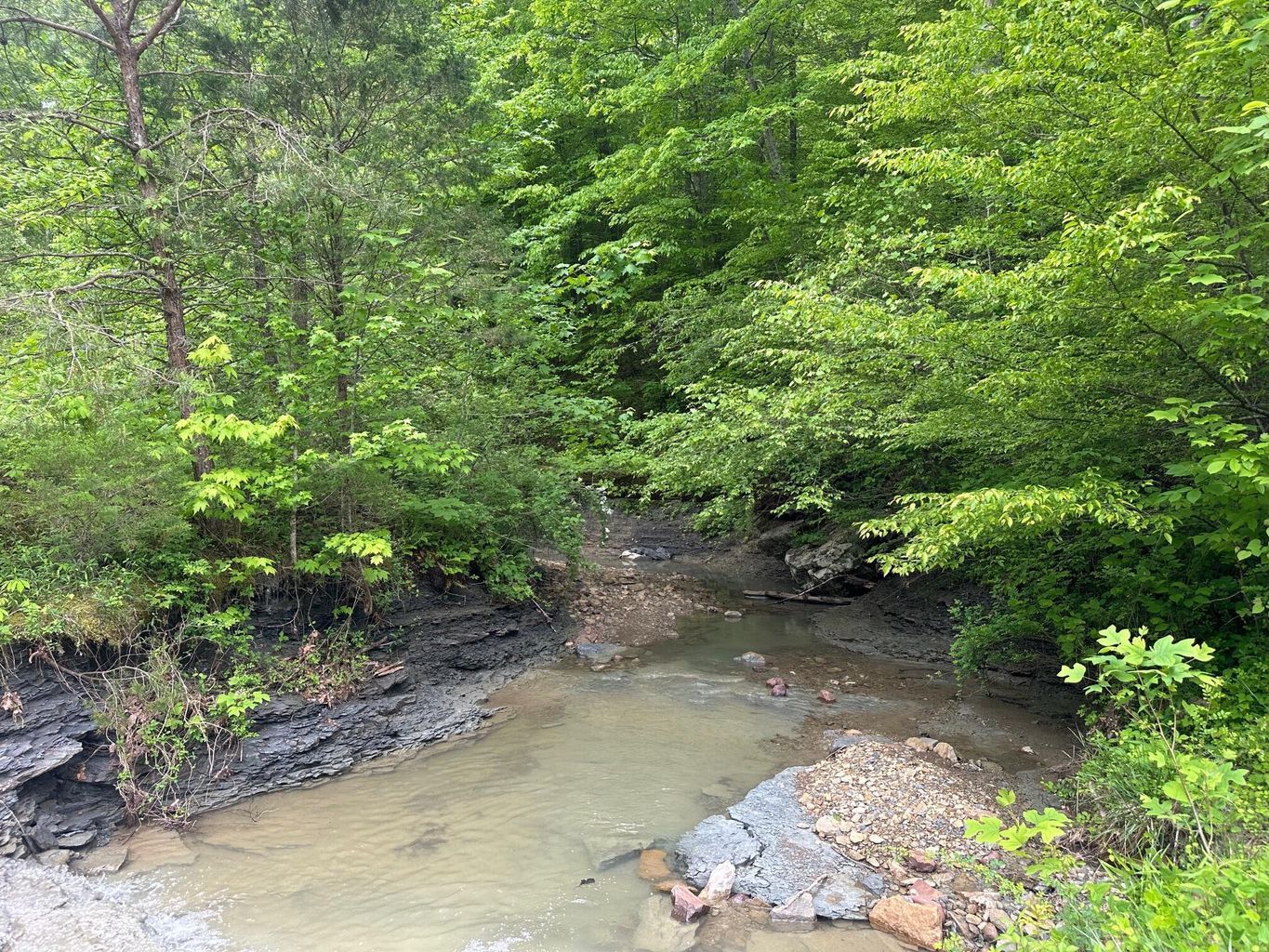 275 Horns River Rd, Irvine, KY for Sale