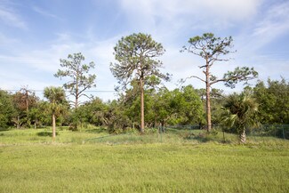 LaBelle, FL Commercial Land - 2490 W SR 80 LaBelle, FL Commercial Land - 2490 W SR 80