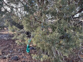 Williams, AZ Residential Land - 17411 Ranch Rd