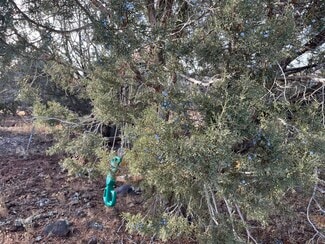 Williams, AZ Residential - 17411 Ranch Rd