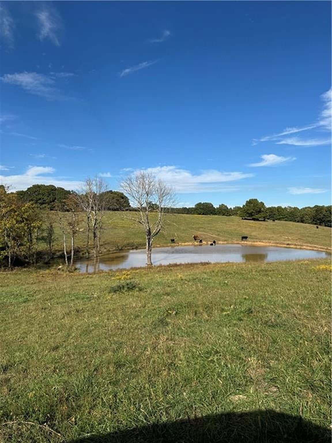 17140 Skelton Rd, Winslow, AR for Sale