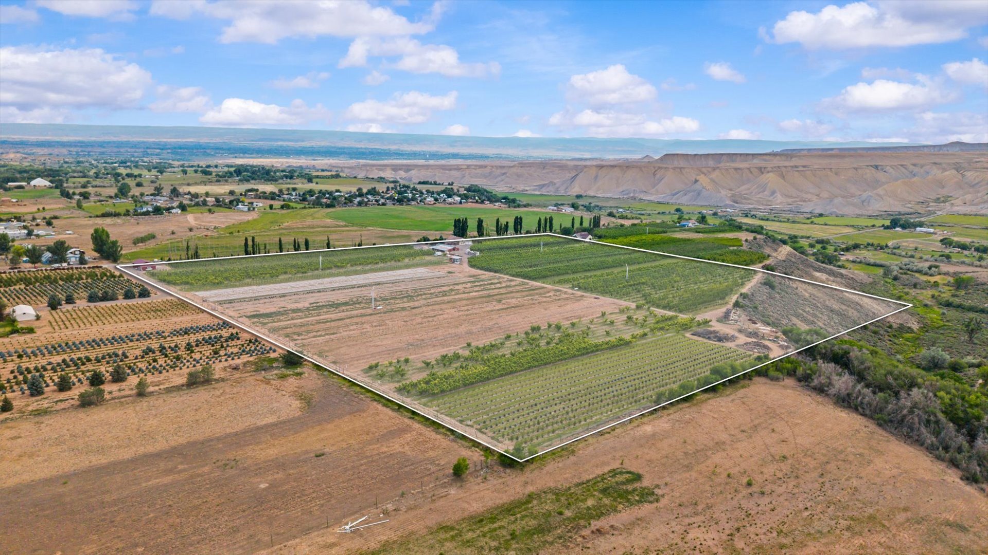 20809 Nowhere Rd, Eckert, CO for Sale