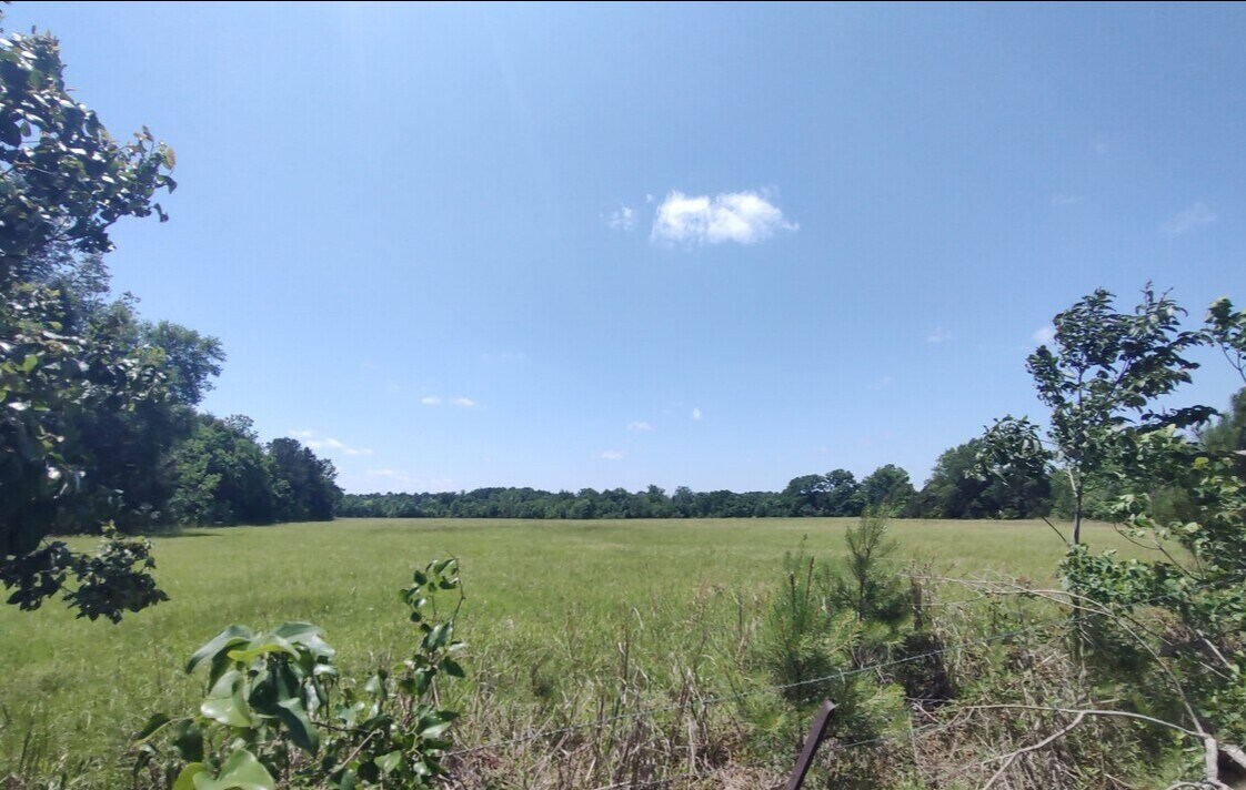 Ravenwood Drive And Bell Road, Selma, AL for Sale