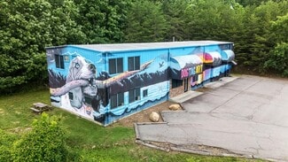 Asheville, NC Flex - 106 Flow State Vis