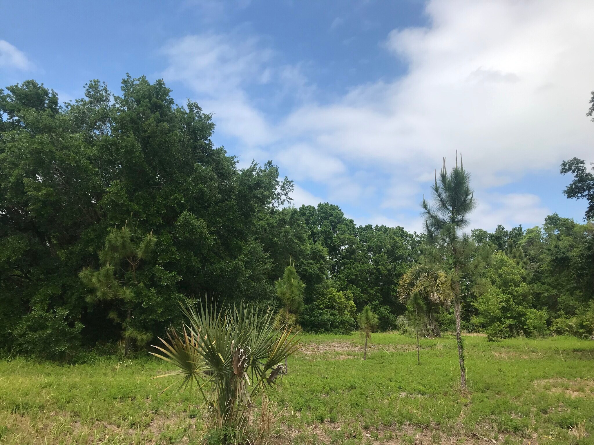 5407 W Irlo Bronson Memorial Hwy, Kissimmee, FL for Sale