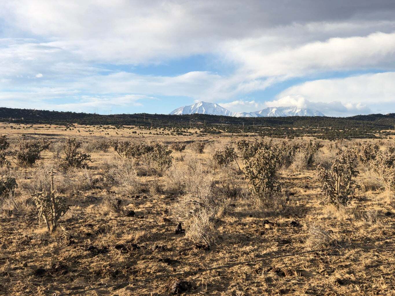 Lot 1 69, Walsenburg, CO for Sale