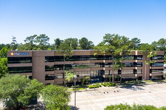 The Woodlands, TX Office, Office/Retail - 25211 Grogans Mill Rd