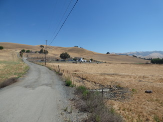 Danville, CA Agricultural Land - 5005 Camino Tassajara