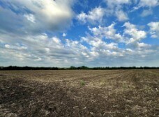 TBD County Road 320, Granger, TX for Rent