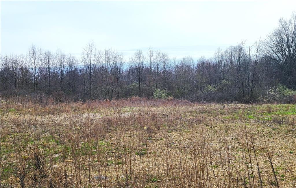 38 McCartney Rd, Campbell, OH for Sale